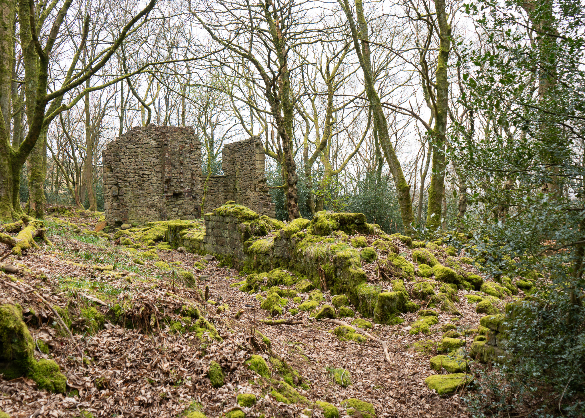 marsdens farm, brinscall woods. mrs dixon journal. lost farms of brinscall moors.